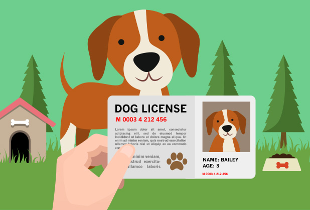 Licensing: Why It’s Important